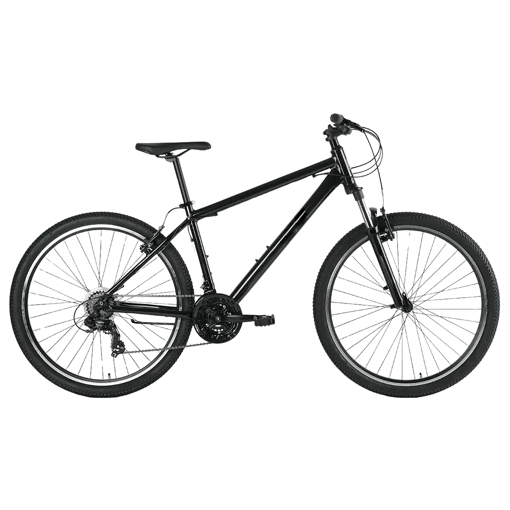 MountainBike (1) Mountain Bike: ideal for natural routes and trails near Valencia